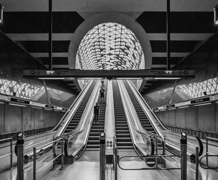 © Masood Aslami